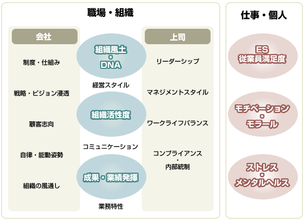 調査対象となる分野：職場・組織・仕事・個人